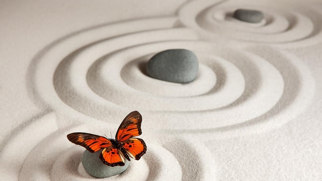 zen sable  papillon